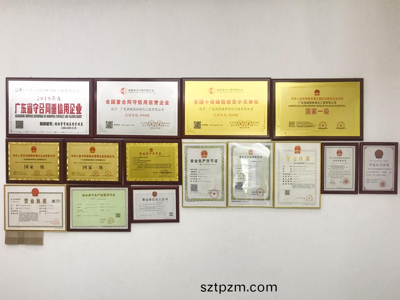 榮(rong)譽(yu)證(zheng)書(shu)牆(qiang)