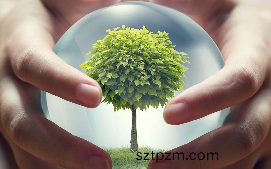 種植綠(lv)化的(de)意(yi)義